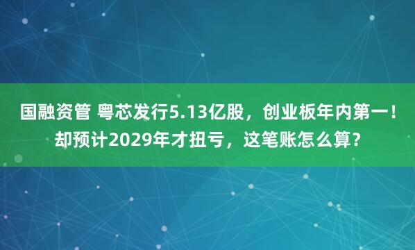 国融资管 粤芯发行5.13亿股，创业板年内第一！却预计2029年才扭亏，这笔账怎么算？