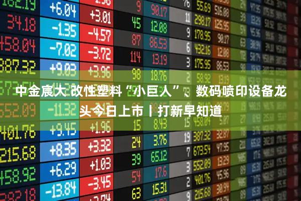 中金宸大 改性塑料“小巨人”、数码喷印设备龙头今日上市丨打新早知道