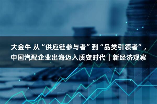 大金牛 从“供应链参与者”到“品类引领者”，中国汽配企业出海迈入质变时代｜新经济观察