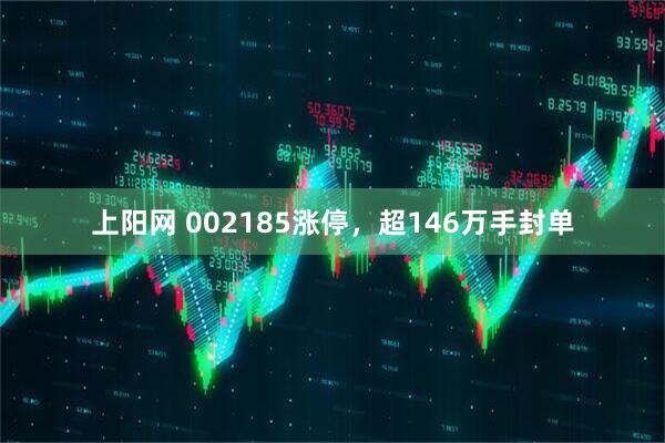 上阳网 002185涨停，超146万手封单
