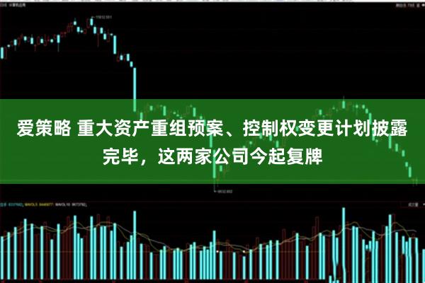 爱策略 重大资产重组预案、控制权变更计划披露完毕,这两家公司今起复牌